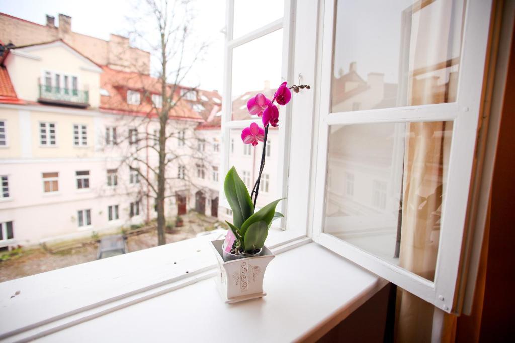 Skapo Apartments Wilno Zewnętrze zdjęcie